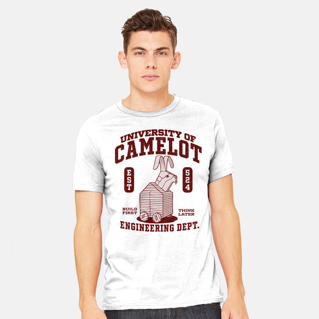 University Of Nonsense-Mens-Heavyweight-Tee-Popnotic