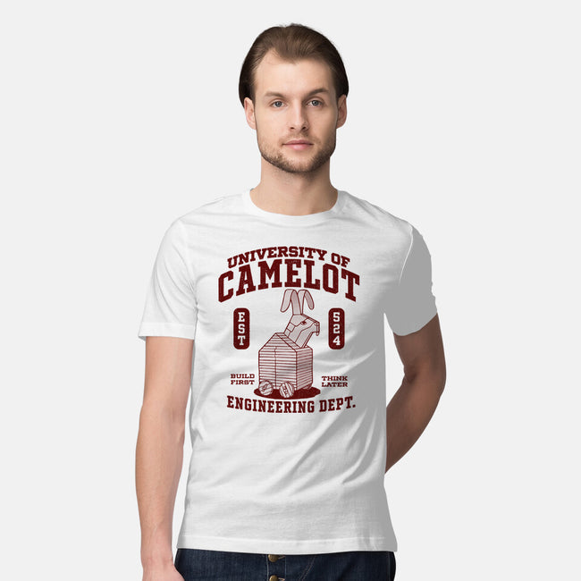 University Of Nonsense-Mens-Premium-Tee-Popnotic