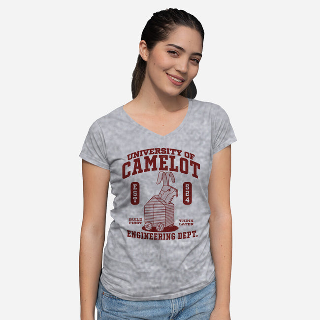 University Of Nonsense-Womens-V-Neck-Tee-Popnotic