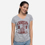 University Of Nonsense-Womens-V-Neck-Tee-Popnotic