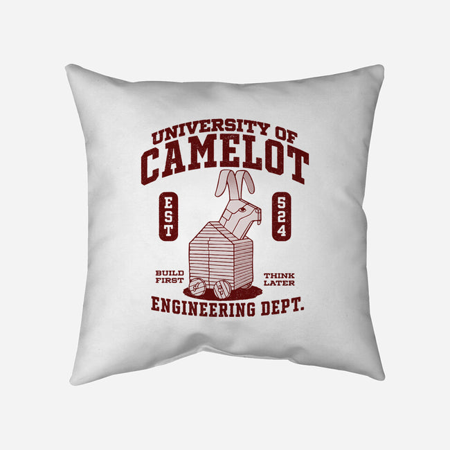 University Of Nonsense-None-Removable Cover w Insert-Throw Pillow-Popnotic