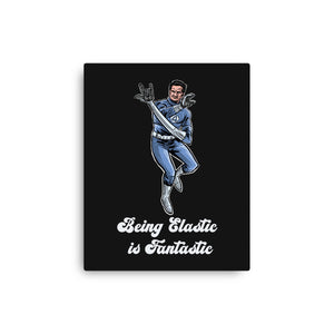 Elastic Fantastic