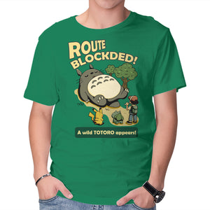 Route Blocked