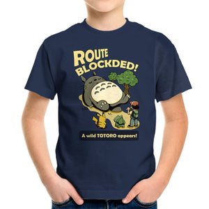 Route Blocked