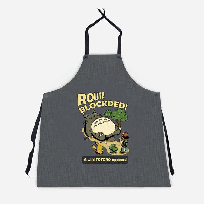Route Blocked-Unisex-Kitchen-Apron-JamesQJO