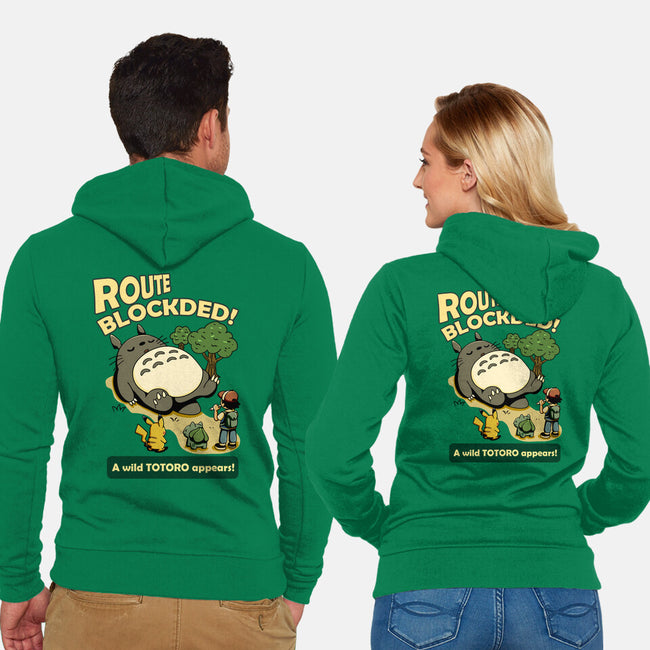 Route Blocked-Unisex-Zip-Up-Sweatshirt-JamesQJO