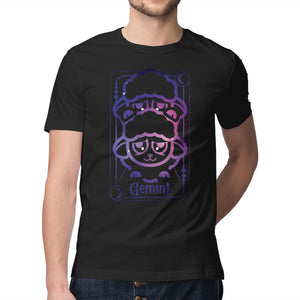 Gemini Galaxy Sign