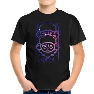 Gemini Galaxy Sign