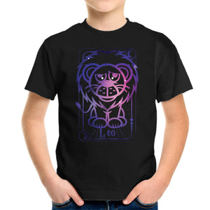 Leo Galaxy Sign