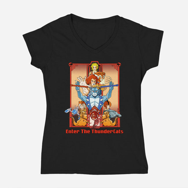 Enter The Cats-Womens-V-Neck-Tee-goodidearyan