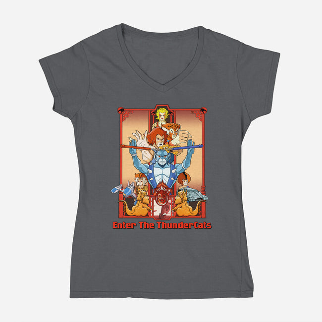 Enter The Cats-Womens-V-Neck-Tee-goodidearyan