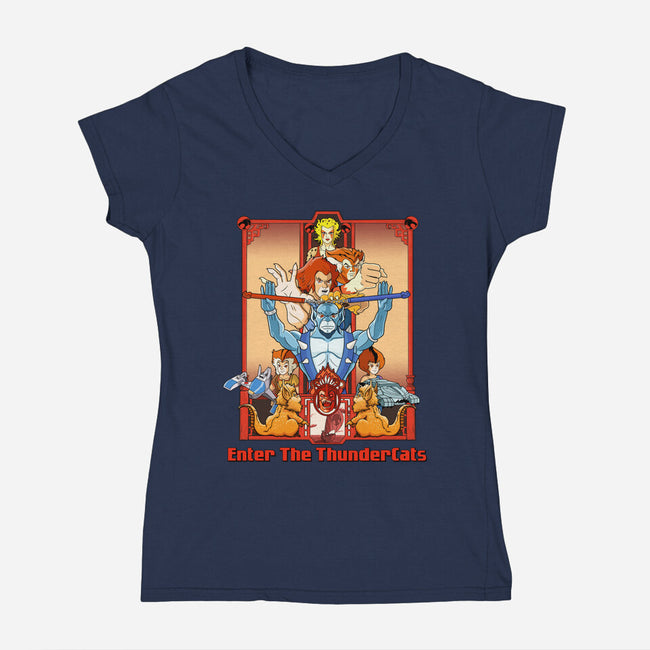 Enter The Cats-Womens-V-Neck-Tee-goodidearyan