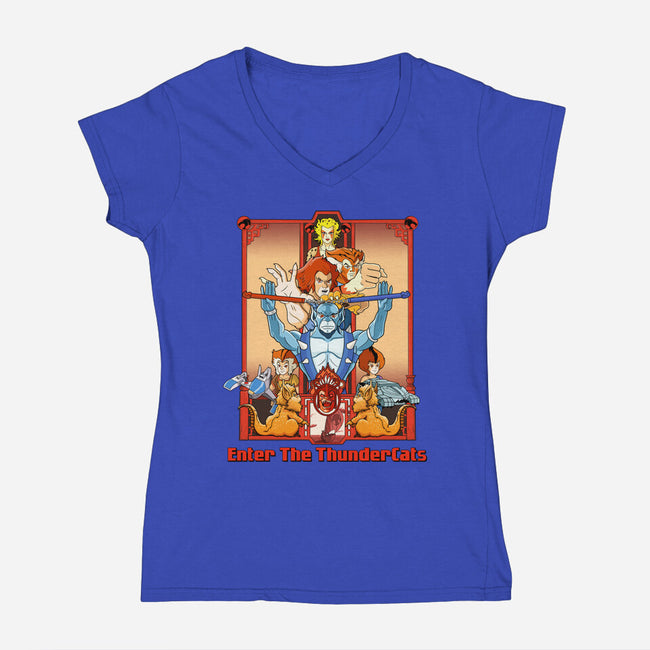 Enter The Cats-Womens-V-Neck-Tee-goodidearyan