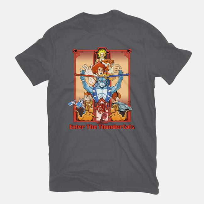 Enter The Cats-Womens-Fitted-Tee-goodidearyan