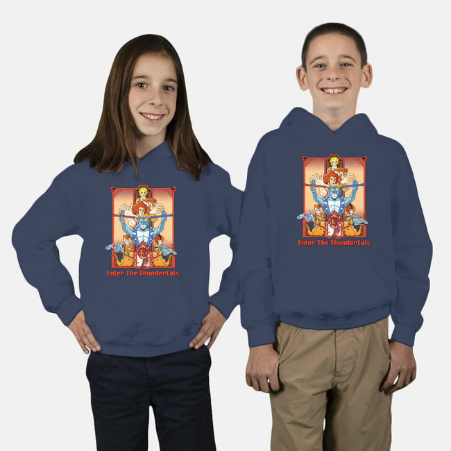 Enter The Cats-Youth-Pullover-Sweatshirt-goodidearyan