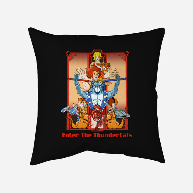 Enter The Cats-None-Removable Cover w Insert-Throw Pillow-goodidearyan