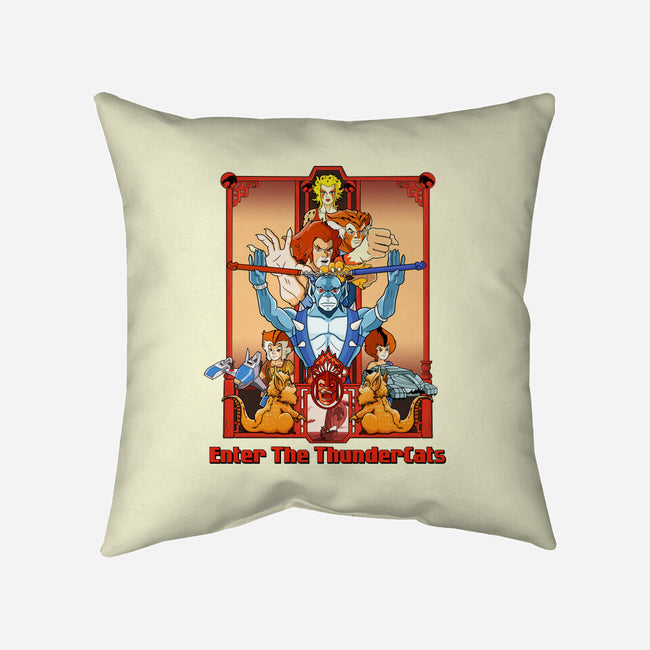 Enter The Cats-None-Removable Cover w Insert-Throw Pillow-goodidearyan