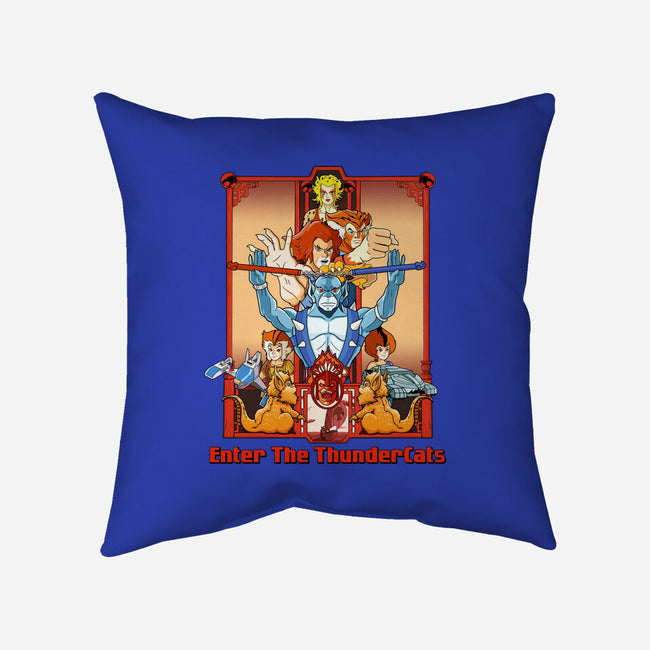 Enter The Cats-None-Removable Cover w Insert-Throw Pillow-goodidearyan