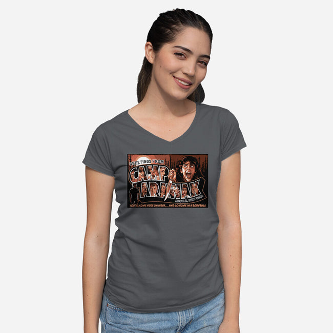 Greetings From Arawak-Womens-V-Neck-Tee-goodidearyan