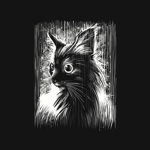 Cat Under The Rain