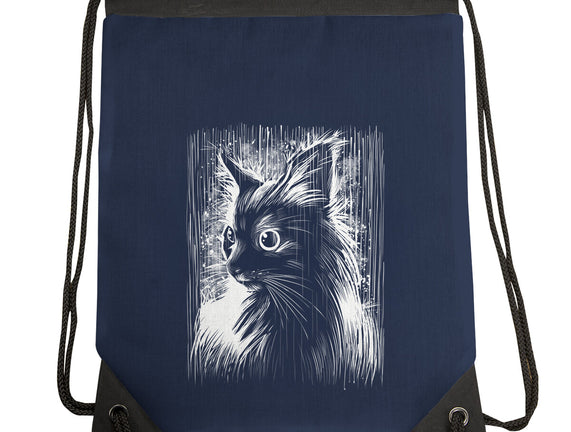 Cat Under The Rain
