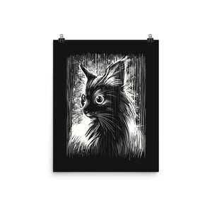 Cat Under The Rain