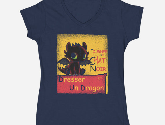 Dresser Un Dragon