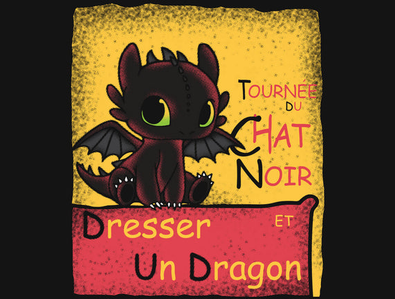 Dresser Un Dragon