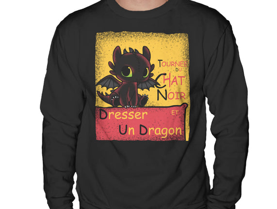 Dresser Un Dragon