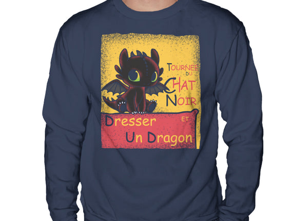 Dresser Un Dragon