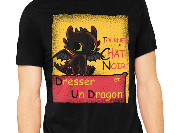 Dresser Un Dragon
