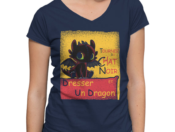 Dresser Un Dragon