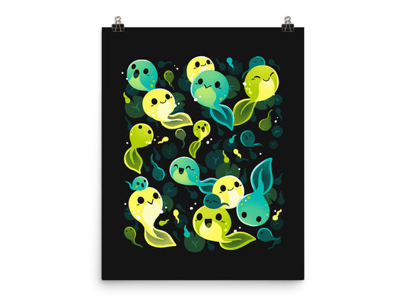 Tadpole Family