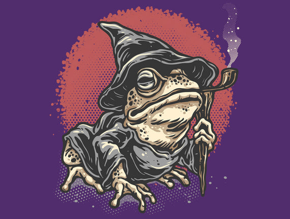 The Wizard Frog