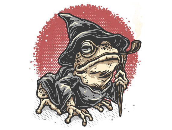 The Wizard Frog