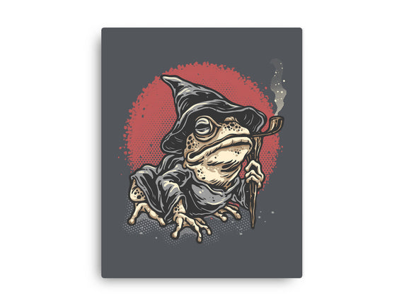 The Wizard Frog