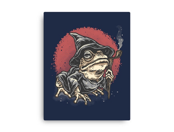 The Wizard Frog