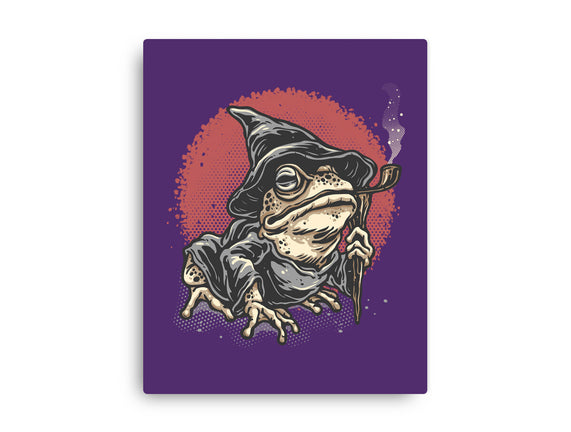 The Wizard Frog