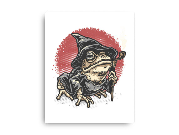 The Wizard Frog