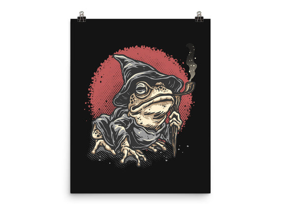 The Wizard Frog