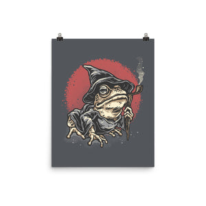 The Wizard Frog