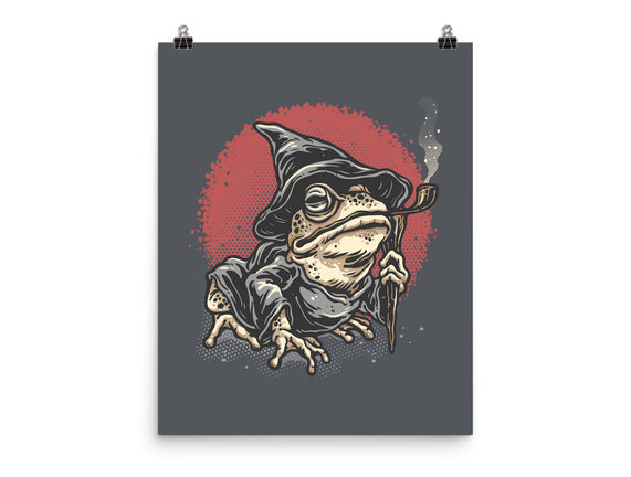 The Wizard Frog