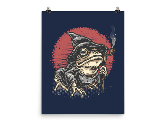 The Wizard Frog