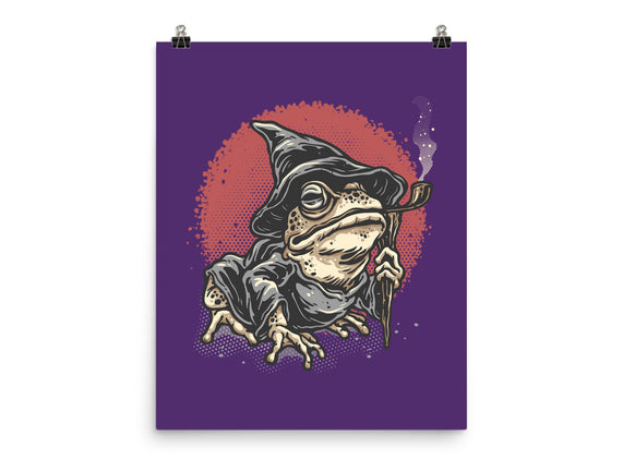 The Wizard Frog