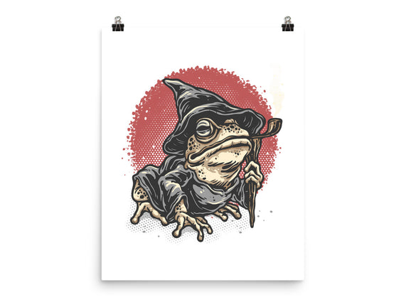 The Wizard Frog