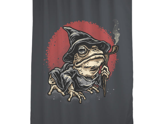The Wizard Frog
