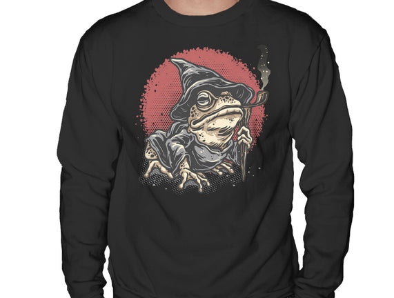 The Wizard Frog