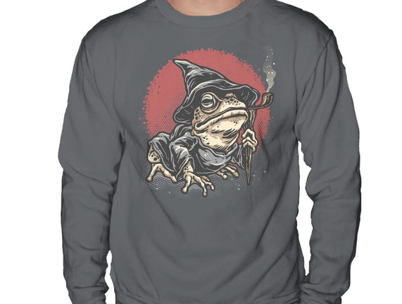 The Wizard Frog