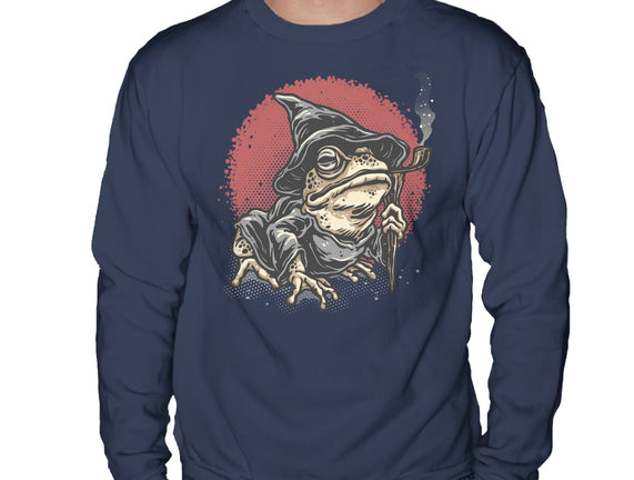 The Wizard Frog