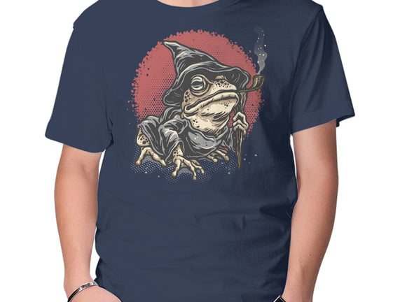 The Wizard Frog